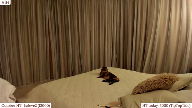 Gallery image thumbnail from Muse_'s myfreecams stream on, 10/10/2025, 21:42 image 19 of 20