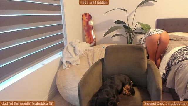 Gallery image thumbnail from Nami_'s myfreecams stream on, 10/03/2023, 01:46 image 9 of 20