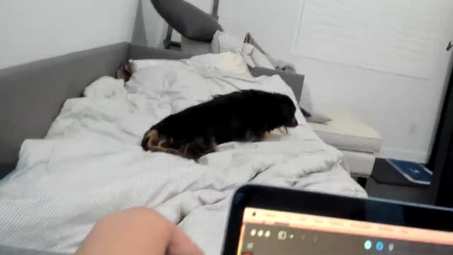 Gallery image thumbnail from Nami_'s myfreecams stream on, 06/07/2025, 05:23 image 9 of 20