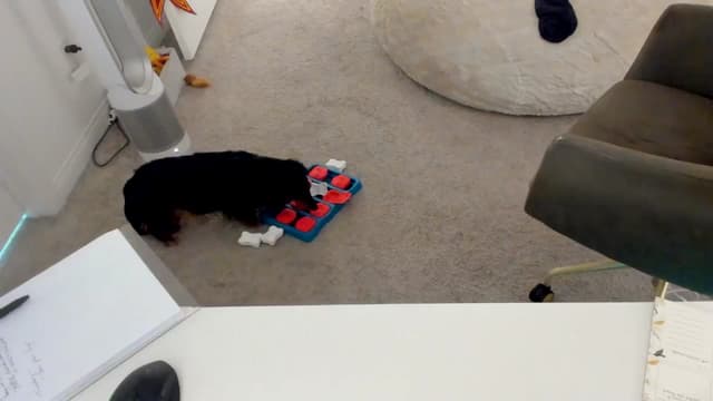 Gallery image thumbnail from Nami_'s myfreecams stream on, 10/02/2025, 07:43 image 4 of 20