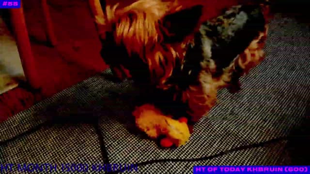 Gallery image thumbnail from Not_N's myfreecams stream on, 10/14/2023, 05:46 image 6 of 20