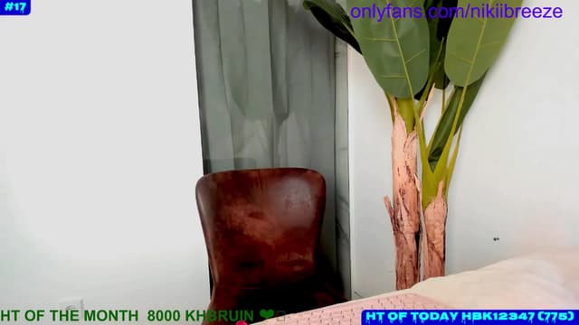 Gallery image thumbnail from Not_N's myfreecams stream on, 08/24/2024, 17:48 image 2 of 20