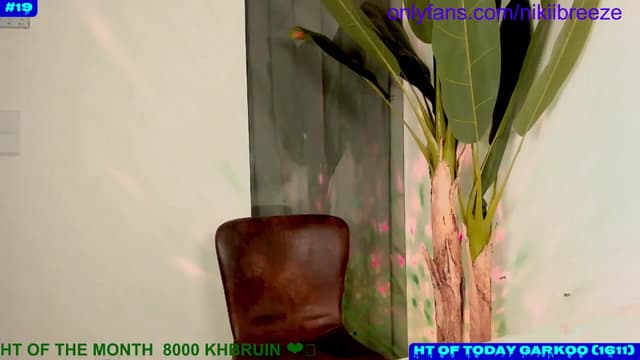 Gallery image thumbnail from Not_N's myfreecams stream on, 08/25/2024, 07:17 image 5 of 20