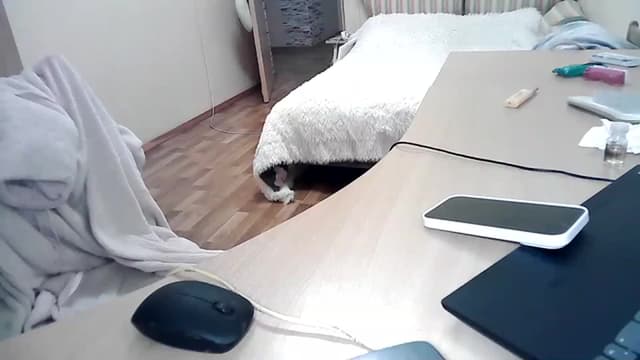 Gallery image thumbnail from Oluur's myfreecams stream on, 05/08/2023, 18:32 image 5 of 20