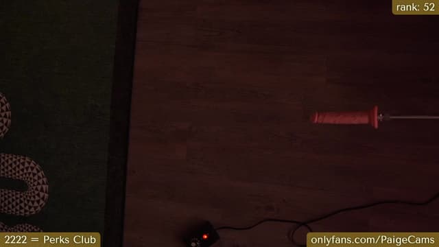 Gallery image thumbnail from Paige's myfreecams stream on, 11/18/2023, 07:06 image 13 of 20