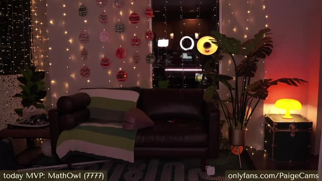 Gallery image thumbnail from Paige's myfreecams stream on, 12/30/2023, 03:36 image 13 of 20