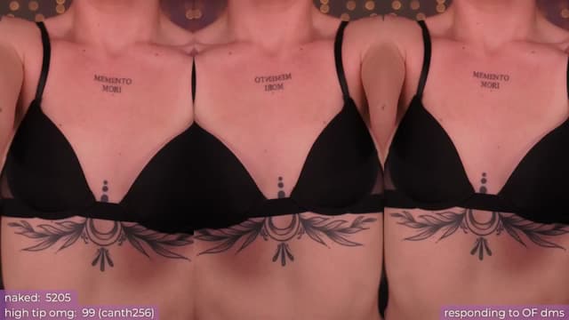 Gallery image thumbnail from Paige's myfreecams stream on, 05/26/2024, 03:08 image 10 of 20