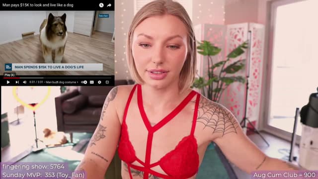 Gallery image thumbnail from Paige's myfreecams stream on, 08/11/2024, 22:44 image 17 of 20