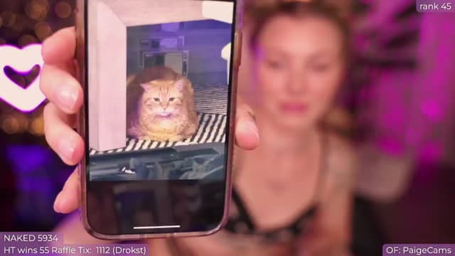 Gallery image thumbnail from Paige's myfreecams stream on, 08/30/2024, 06:56 image 10 of 20