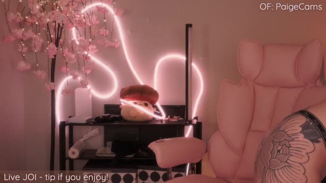 Gallery image thumbnail from Paige's myfreecams stream on, 07/28/2025, 23:57 image 17 of 20