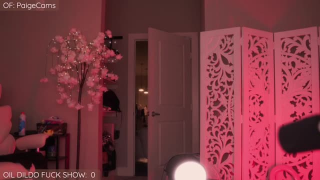 Gallery image thumbnail from Paige's myfreecams stream on, 01/06/2026, 04:33 image 20 of 20