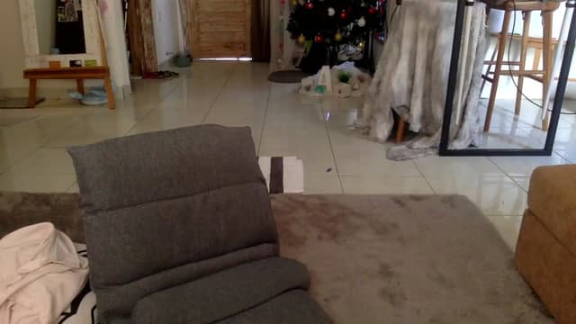 Gallery image thumbnail from Qi_ra's myfreecams stream on, 12/19/2023, 04:07 image 20 of 20