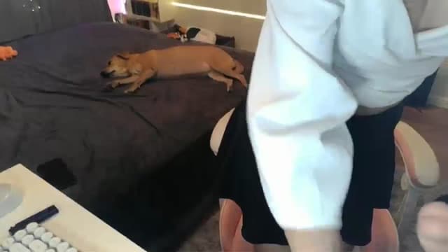 Gallery image thumbnail from Qi_ra's myfreecams stream on, 12/31/2025, 19:18 image 17 of 20