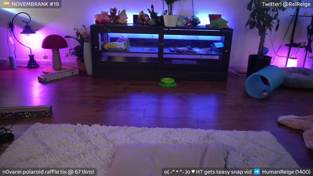 Gallery image thumbnail from Reige's myfreecams stream on, 11/27/2022, 09:23 image 13 of 20