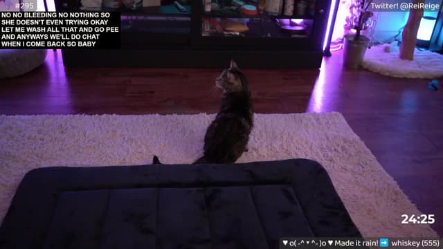 Gallery image thumbnail from Reige's myfreecams stream on, 04/20/2024, 10:58 image 14 of 20