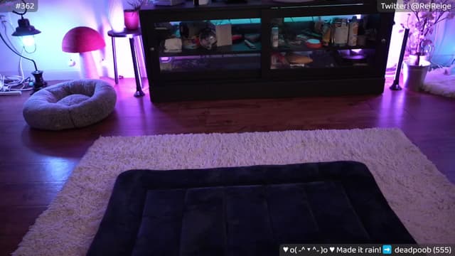 Gallery image thumbnail from Reige's myfreecams stream on, 04/26/2024, 10:33 image 7 of 20