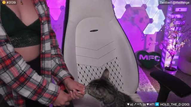 Gallery image thumbnail from Reige's myfreecams stream on, 06/12/2024, 07:13 image 16 of 20