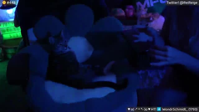 Gallery image thumbnail from Reige's myfreecams stream on, 08/16/2024, 11:08 image 8 of 20