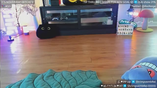 Gallery image thumbnail from Reige's myfreecams stream on, 11/19/2024, 16:17 image 17 of 20