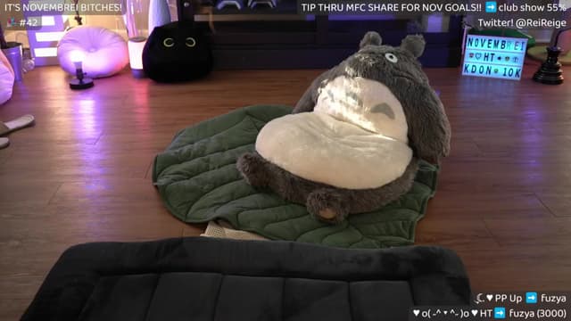 Gallery image thumbnail from Reige's myfreecams stream on, 11/20/2024, 16:41 image 13 of 20