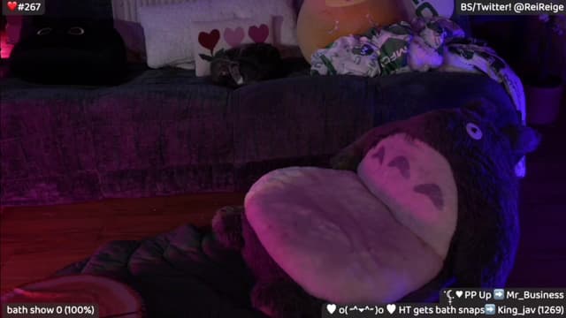 Gallery image thumbnail from Reige's myfreecams stream on, 02/15/2025, 10:22 image 11 of 20