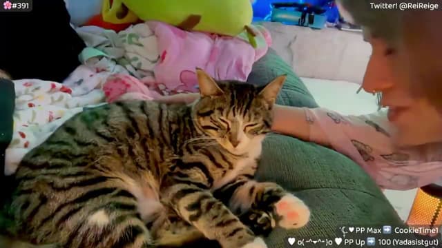Gallery image thumbnail from Reige's myfreecams stream on, 05/04/2026, 08:03 image 12 of 20