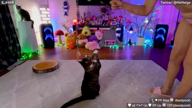 Gallery image thumbnail from Reige's myfreecams stream on, 07/12/2026, 12:59 image 17 of 20