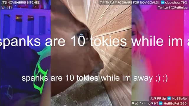 Gallery image thumbnail from Reive's myfreecams stream on, 11/25/2024, 18:37 image 17 of 20