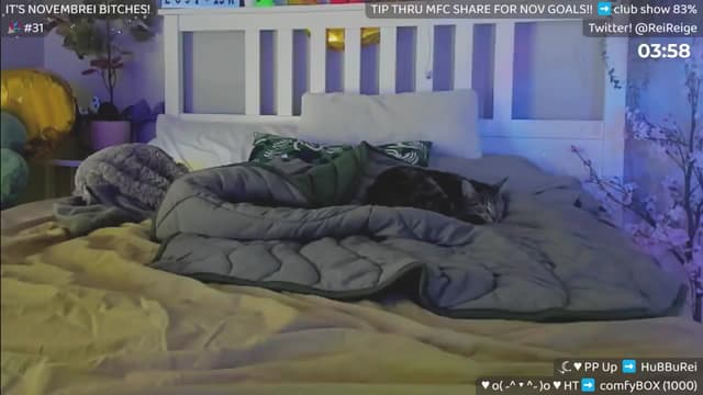 Gallery image thumbnail from Reive's myfreecams stream on, 11/25/2024, 21:35 image 17 of 20