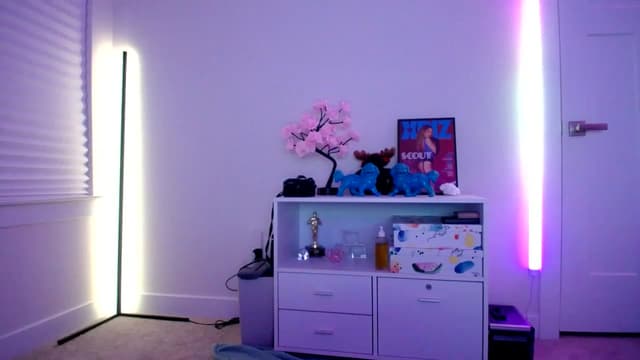 Gallery image thumbnail from Scout's myfreecams stream on, 12/11/2022, 06:29 image 4 of 20