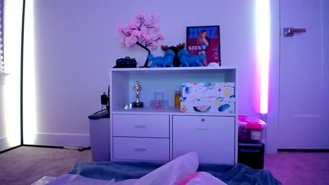 Gallery image thumbnail from Scout's myfreecams stream on, 12/31/2022, 06:18 image 20 of 20