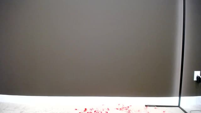 Gallery image thumbnail from Scout's myfreecams stream on, 05/31/2023, 03:56 image 16 of 20