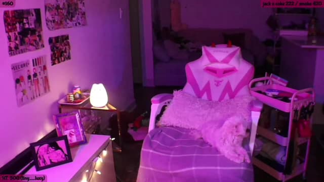 Gallery image thumbnail from SeySo's myfreecams stream on, 11/24/2022, 07:17 image 19 of 20