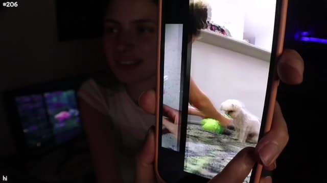 Gallery image thumbnail from Seynt's myfreecams stream on, 08/23/2024, 24:02 image 12 of 20