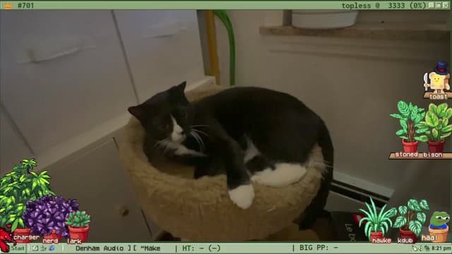 Gallery image thumbnail from TERRA's myfreecams stream on, 09/19/2024, 04:07 image 1 of 20