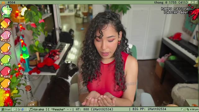 Gallery image thumbnail from TERRA's myfreecams stream on, 06/15/2025, 22:16 image 12 of 20