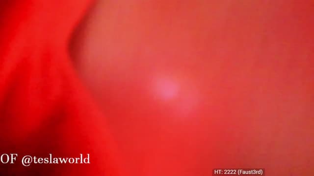 Gallery image thumbnail from Tesla's myfreecams stream on, 12/11/2022, 05:14 image 9 of 20