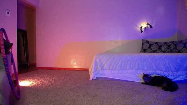 Gallery image thumbnail from Vedah's myfreecams stream on, 01/03/2023, 06:02 image 10 of 20
