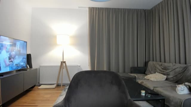 Gallery image thumbnail from Vikki's myfreecams stream on, 05/13/2025, 23:29 image 15 of 20