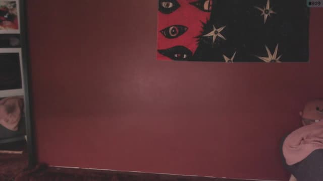 Gallery image thumbnail from aroom's myfreecams stream on, 06/03/2025, 24:03 image 9 of 20