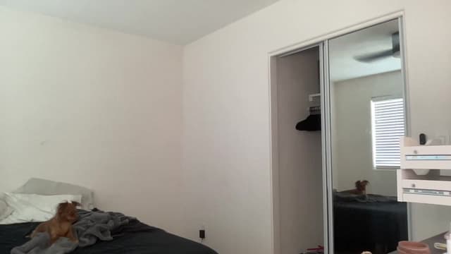 Gallery image thumbnail from ed3nn's myfreecams stream on, 05/25/2023, 19:34 image 18 of 20