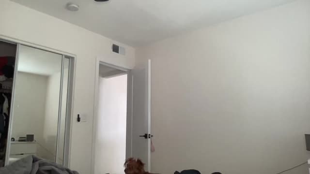 Gallery image thumbnail from ed3nn's myfreecams stream on, 06/03/2023, 24:02 image 4 of 20