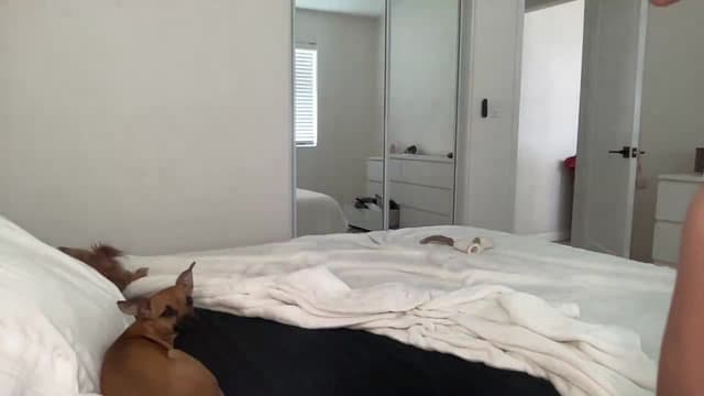 Gallery image thumbnail from ed3nn's myfreecams stream on, 06/09/2023, 21:46 image 10 of 20