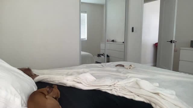 Gallery image thumbnail from ed3nn's myfreecams stream on, 06/09/2023, 21:46 image 9 of 20