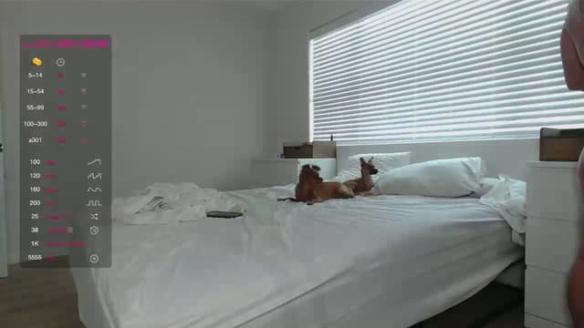 Gallery image thumbnail from ed3nn's myfreecams stream on, 07/05/2023, 23:18 image 7 of 20
