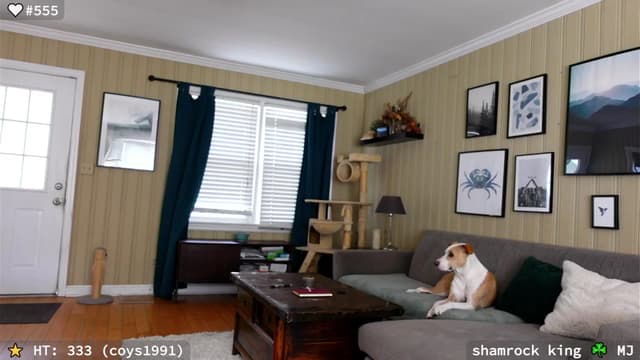 Gallery image thumbnail from el_xo's myfreecams stream on, 03/15/2025, 20:48 image 6 of 20