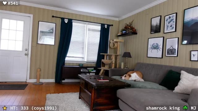 Gallery image thumbnail from el_xo's myfreecams stream on, 03/15/2025, 20:48 image 12 of 20