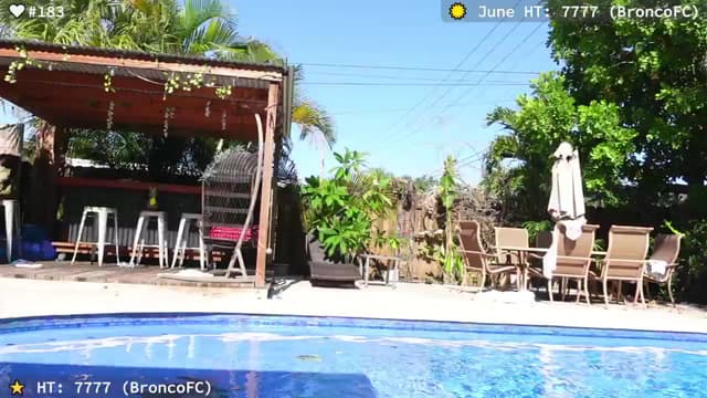 Gallery image thumbnail from el_xo's myfreecams stream on, 06/14/2025, 21:16 image 18 of 20
