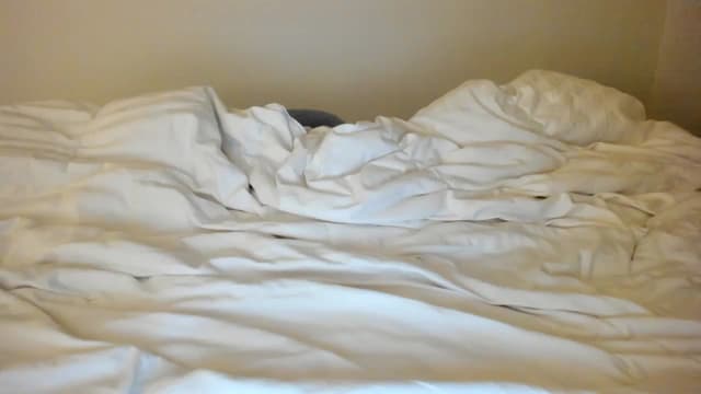 Gallery image thumbnail from imava's myfreecams stream on, 12/07/2023, 02:38 image 7 of 20