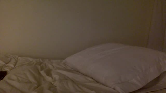 Gallery image thumbnail from indie's myfreecams stream on, 10/13/2024, 09:24 image 15 of 20